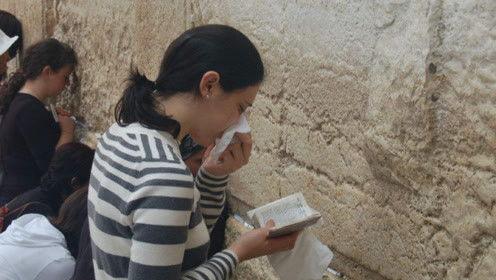 娱乐吃瓜君和毒舌